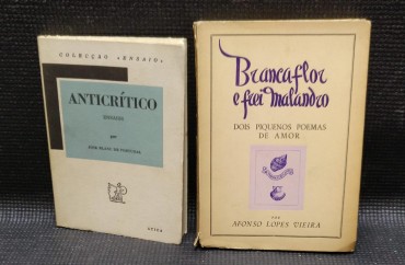 2 PUBLICAÇÕES