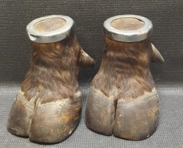 Par de patas de búfalo
