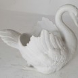 Cisne 