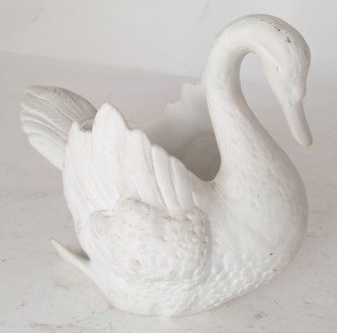 Cisne 