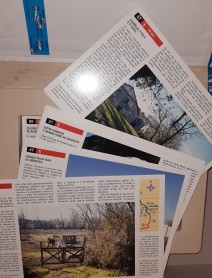 033-2.jpg