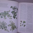 O Grande Livro das Plantas de Interior