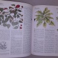 O Grande Livro das Plantas de Interior