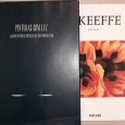 Dois (2) Livros de e sobre Pintura 