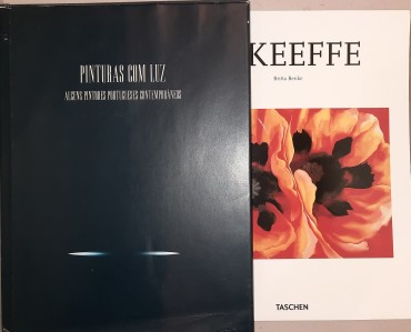 Dois (2) Livros de e sobre Pintura 