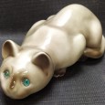 Gato
