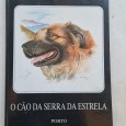 O CÃO DA SERRA DA ESTRELA 