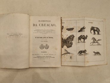 HARMONIAS DA CREAÇÃO