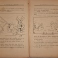 As Aventuras de D. Quixote