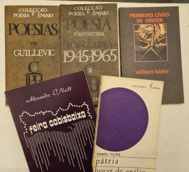 POESIA E LITERATURA