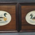 «Patos» (2)