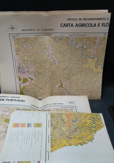 CONJUNTO DE MAPAS