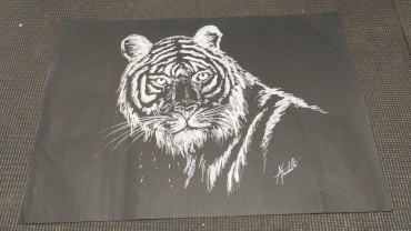 «Tigre» - António Sachetti - SÉC. XX 