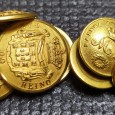 Onze botões «Rainha Constitucional M2» e  «Par do Reino»