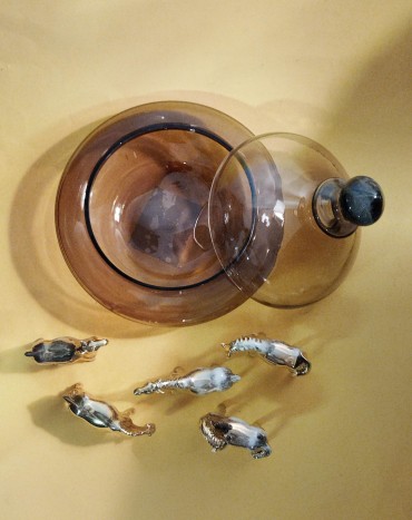 Taça e cavalos