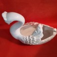 Cisne floreira