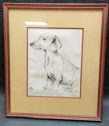 «Dachshund»