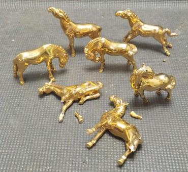 Cavalos 