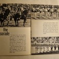 PORTUGUESE BULLFIGHT
