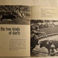 PORTUGUESE BULLFIGHT