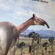 O Tempo das Feras (um Safari Pré-Histórico)	