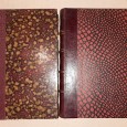 Dois Livros antigos com excelente encadernação