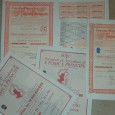 Lote com Seis Títulos de Acções 