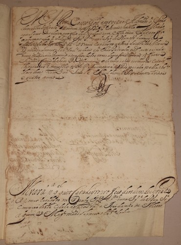 Manuscrito s/papel, 1 bifólio, assinado