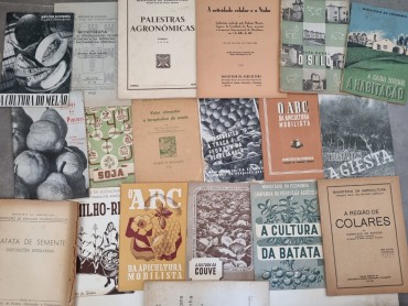 AGRICULTURA