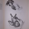 Anatomy For The Artist