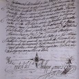 Manuscrito s/ papel, 2 bifólios, assinado com sinal público