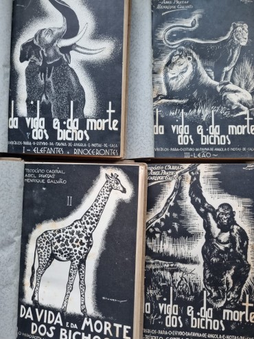 DA VIDA E DA MORTE DOS BICHOS