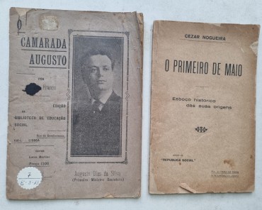 SINDICALISNO E SOCIALISMO