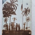 EU FUI AO FIM DE PORTUGAL TIMOR PORTUGUÊS
