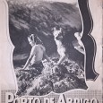 Lote de Panfletos de e sobre Cinema