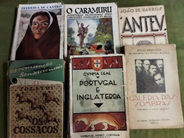 Lote de literatura estrangeira e portuguesa 