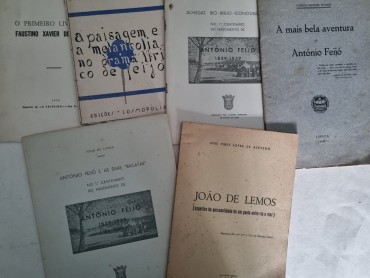 ENSAIOS ANTÓNIO FEIJÓ