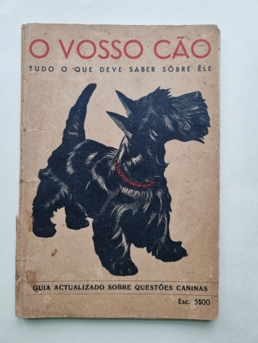 O VOSSO CÃO