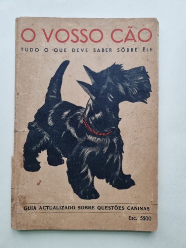 O VOSSO CÃO