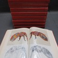PICTORIAL KNOWLEDGE, 10 VOLS.