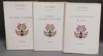 8232-28.jpg