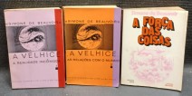 8232-42.jpg