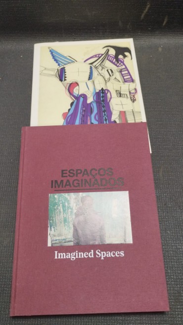 Dois livros sobre arte contemporanea