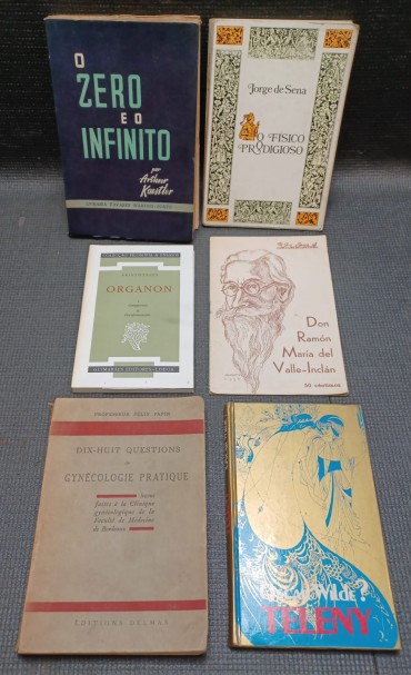 Lote de 6 livros de assuntos diversos