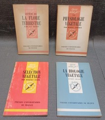 8279-10.jpg