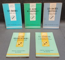 8279-11.jpg