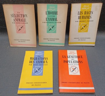 Lote de 5 livros de assuntos diversos