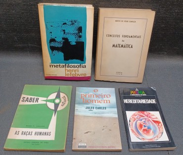 Lote de 5 livros de assuntos diversos
