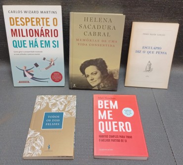 Lote de 5 livros de assuntos diversos