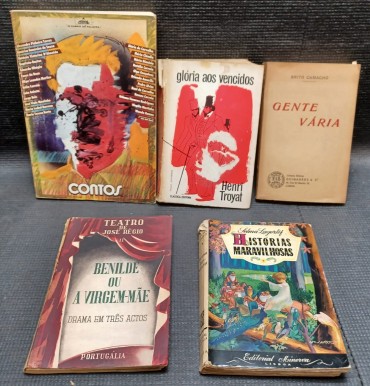 Lote de 5 livros de assuntos diversos